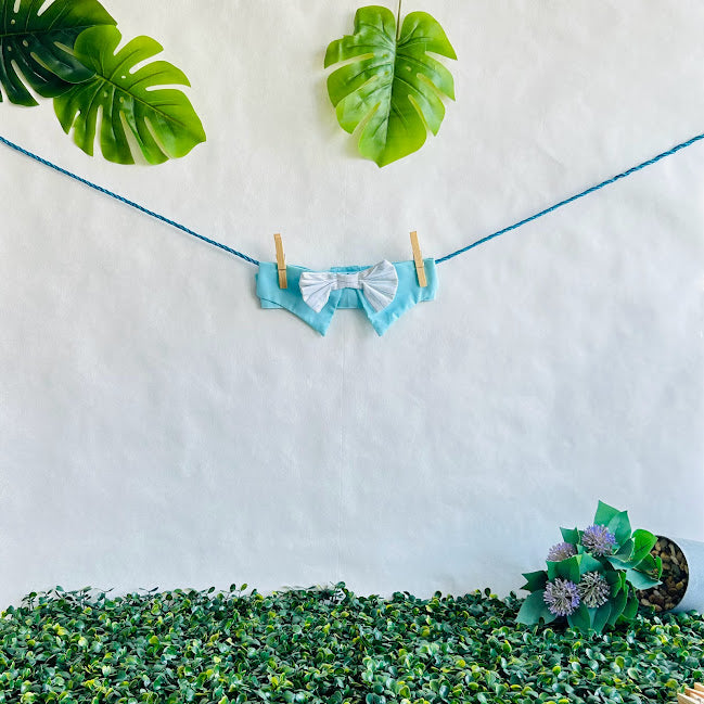 Aqua Bow Tie