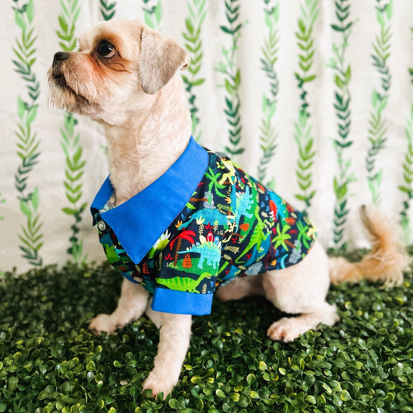 Dinosaurs Casual Shirt