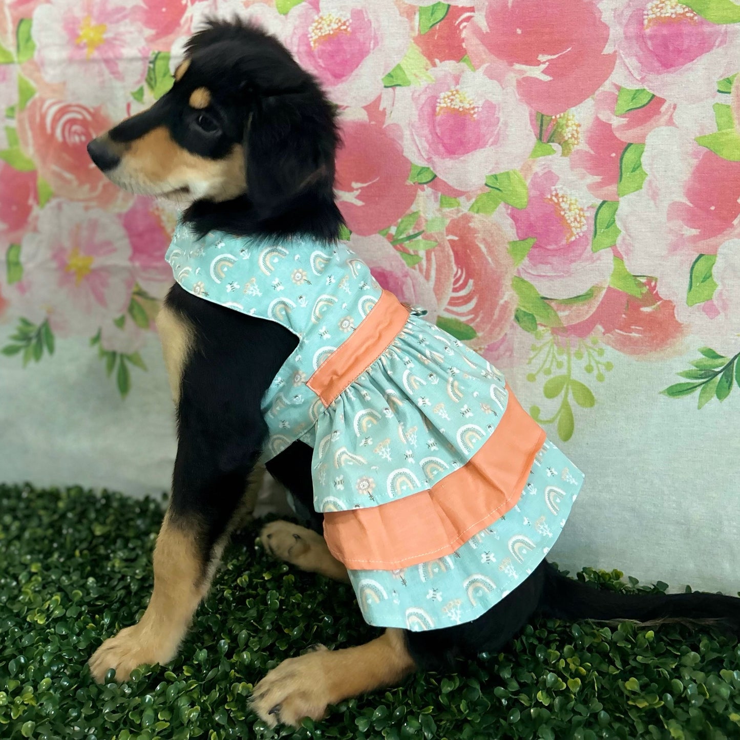 Orange Rainbow Isabella Dress