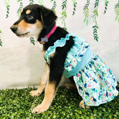 Toucan Tropical Dress