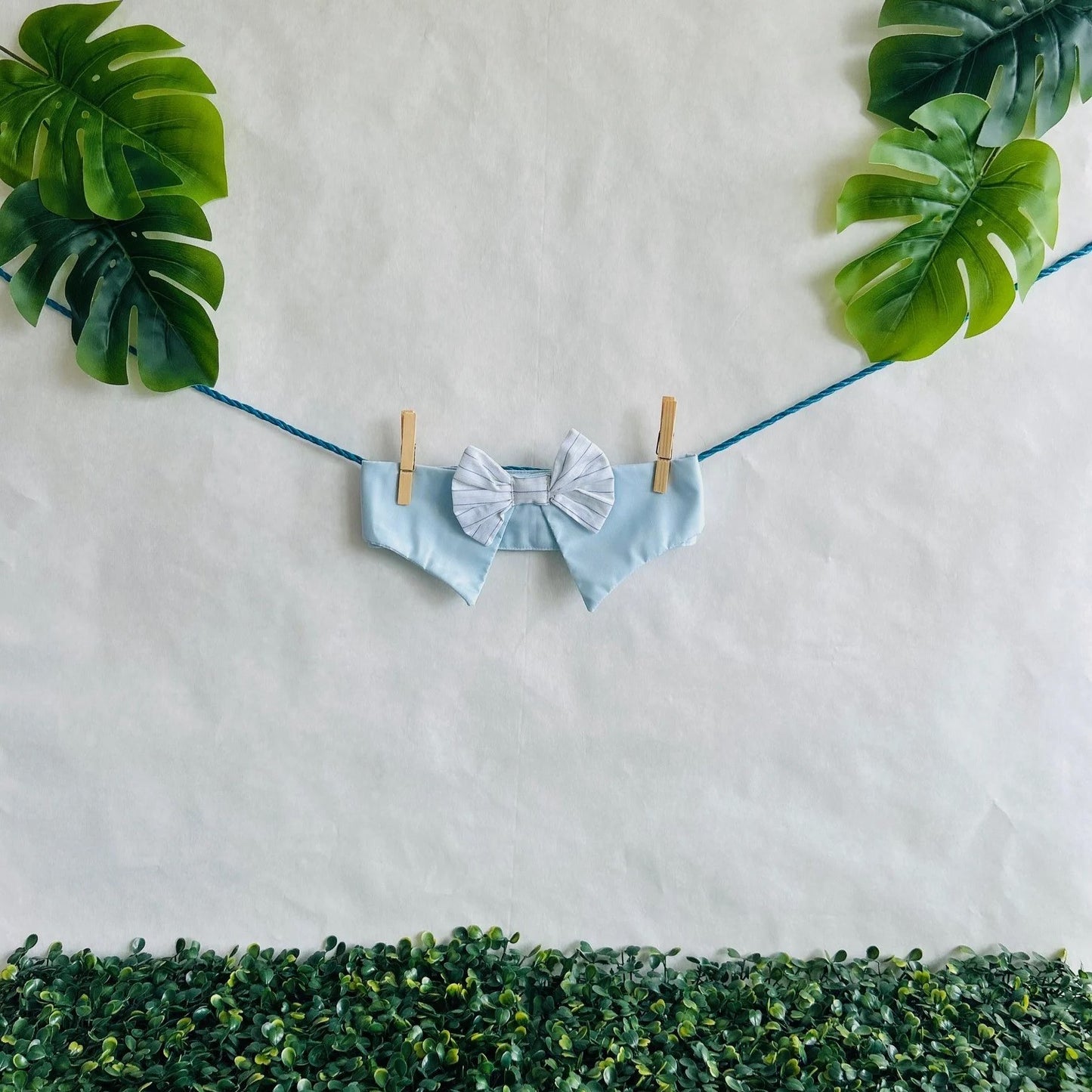 Baby Blue Bow Tie