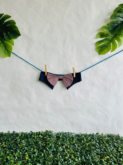Blue & Red Line Bow Tie