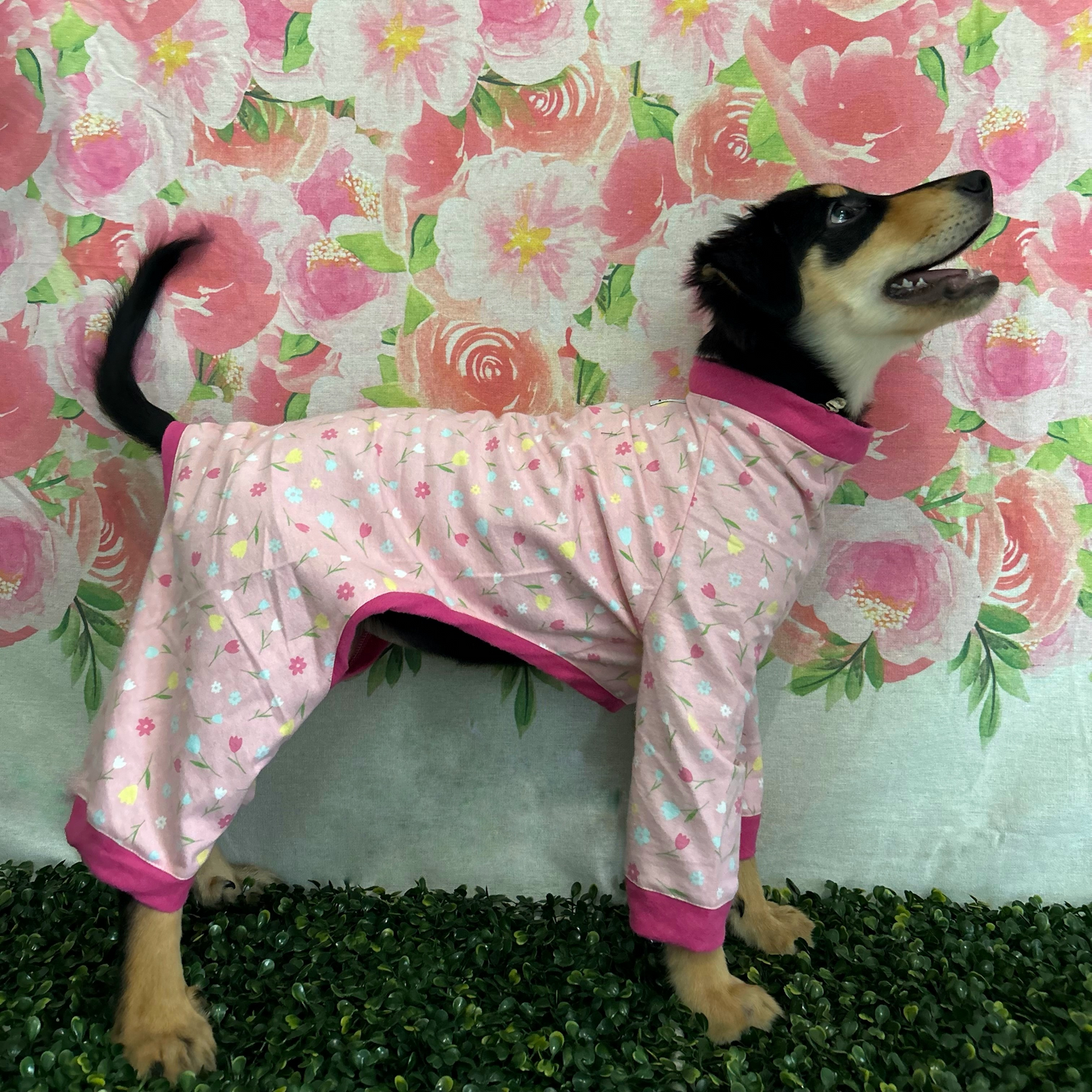 Magenta Tulip Pijama