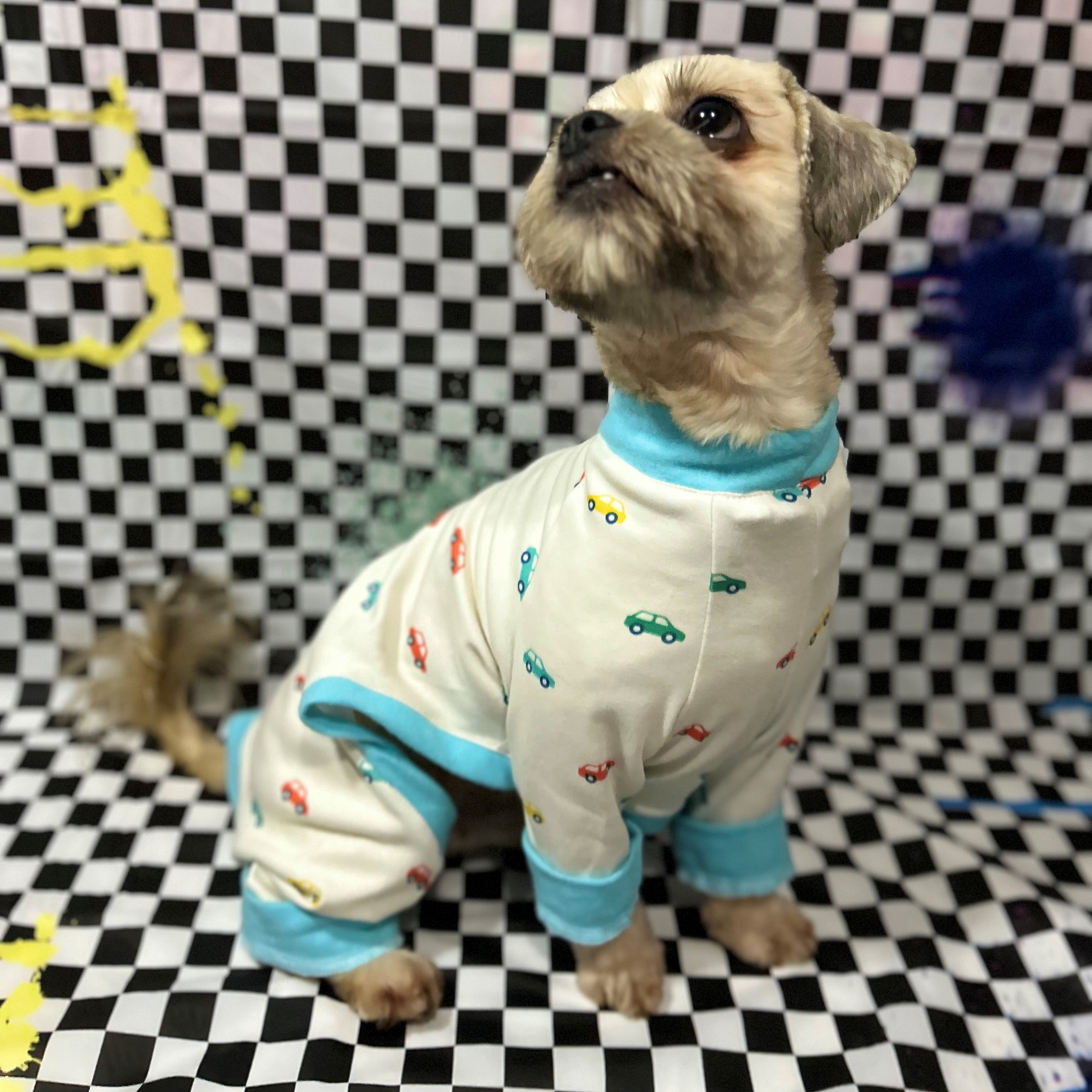 Mini Cars Pijama