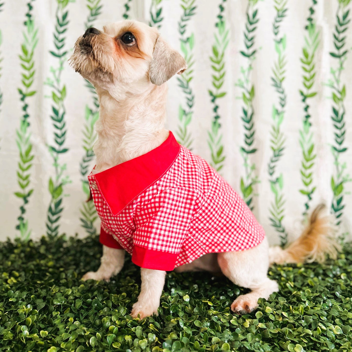 Red Squares Casual Shirt