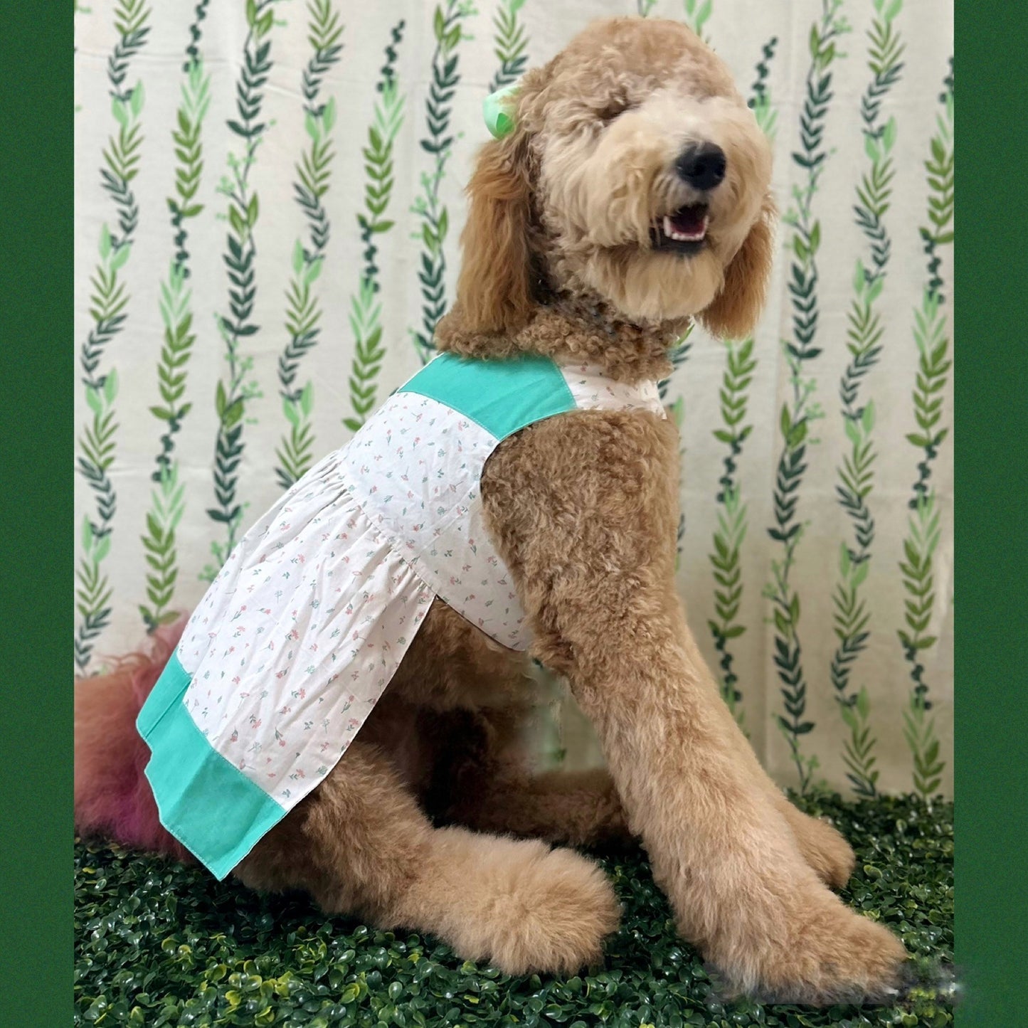 Tiny Floral Rodeo Dress