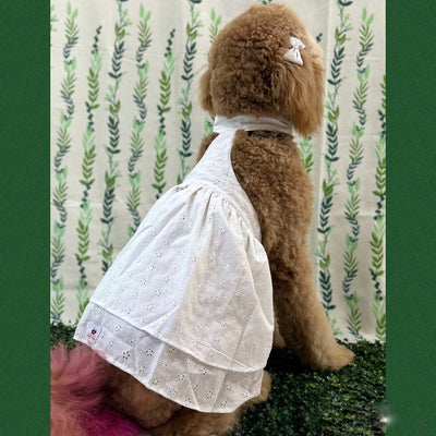 White Flowers Kati Lou Dress