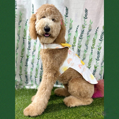 Yellow Rainbow Safari Dress